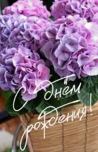 photo_2025-08-04_08-33-31