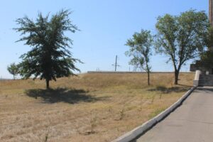 photo_2025-08-15_17-52-17