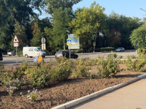 photo_2025-08-22_16-51-09