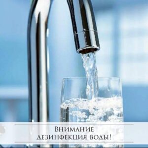 photo_2025-08-28_12-34-09