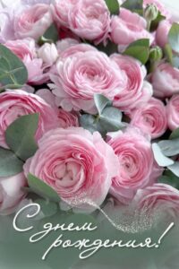 Без названия (1)