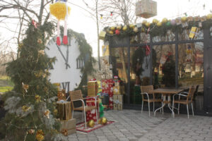 photo_2025-12-11_16-34-46