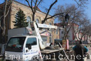 photo_2026-03-25_09-39-58