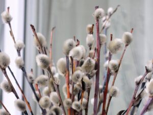 photo_2026-04-05_10-20-44